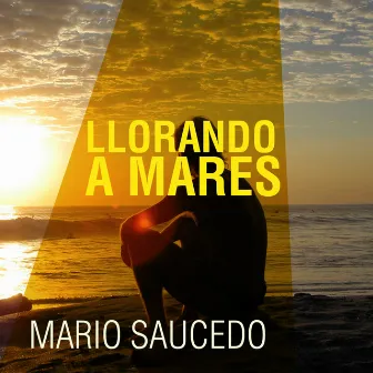 Llorando a Mares by Mario Saucedo