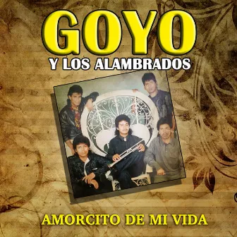 Amorcito de Mi Vida by Goyo Y Los Alambrados