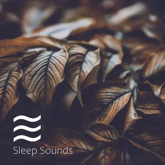 Better sleep by Hypnagogic Brown Noise