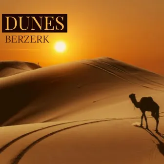 Dunes by Berzerk