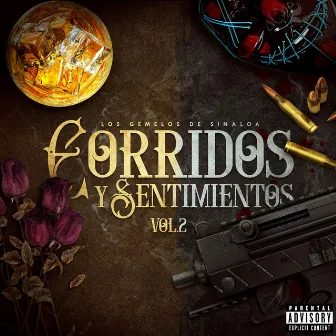 Corridos y Sentimientos (Vol 2) by Los Gemelos De Sinaloa