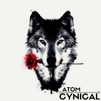 Cynical by ATOM