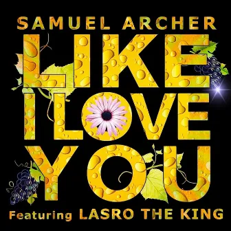 Like I Love You by Samuel Archer