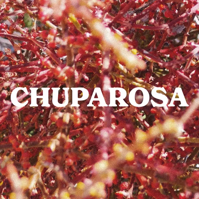 Chuparosa (Radio Edit)