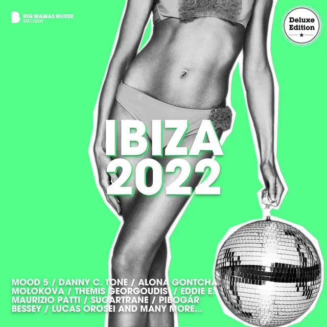 IBIZA 2022 - Continuous DJ Mix Part 2