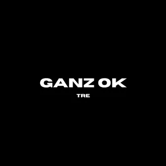 Ganz ok by paju wav