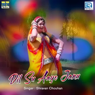 Dili Su Aayo Janu by Shravan Chouhan