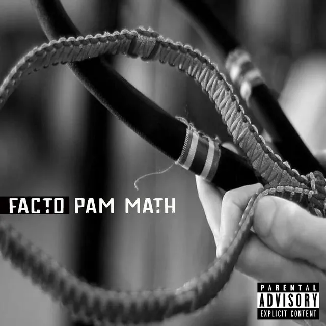 Pam Math