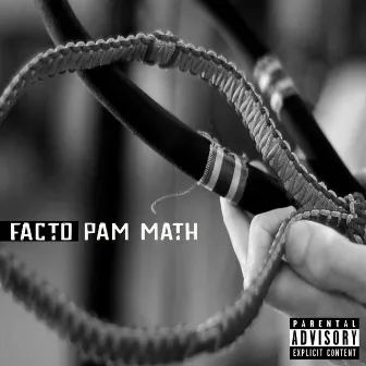 Pam Math by Facto