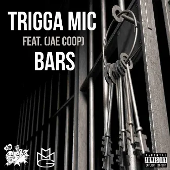 Bars by Trigga Mic