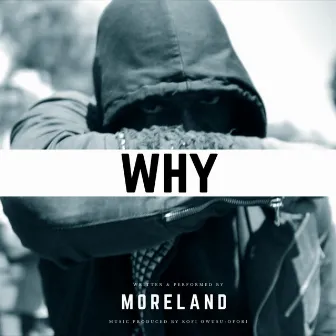 WHY by Josh Moreland