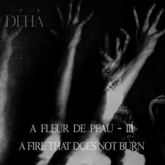 A Fleur de Peau - III - A Fire that doesn't Burn by Déhà