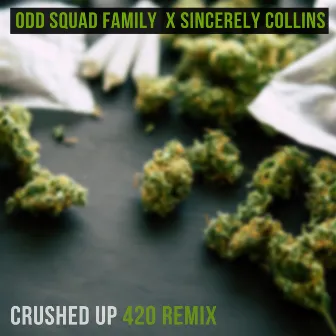 Crushed up 420 Remix by Odd Squad Family