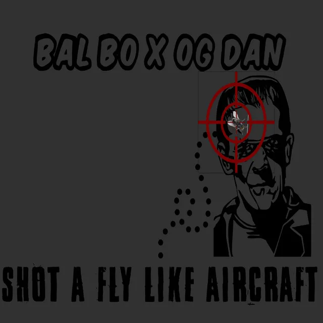 Shot A Fly Like Aircraft