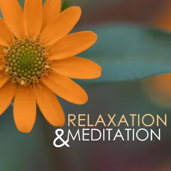 Meditation & Relaxation - Healing Atmosphere for Achieving Mindfulness, Deep Sleep Relaxing Songs to Meditate by 