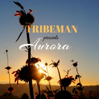 Aurora by The Tribeman