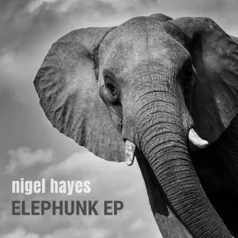 Elephunk by Nigel Hayes