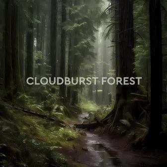 Aqua Atmosphere by Cloudburst Forest