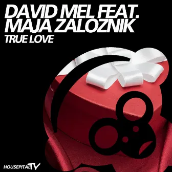 True Love by David Mel