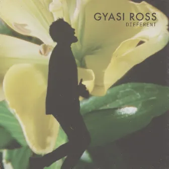 Different by Gyasi Ross