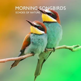 Morning Songbirds: Echoes of Nature, Asian Zen Spa Meditation Music, Yoga and Relaxation by Serenity Stream