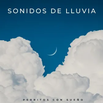 Sonidos De Lluvia: Perritos Con Sueño by Lluvia París