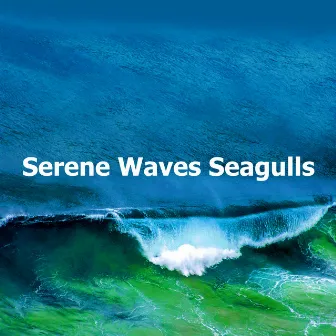 Serene Waves Seagulls by Ocean Wave Sounds