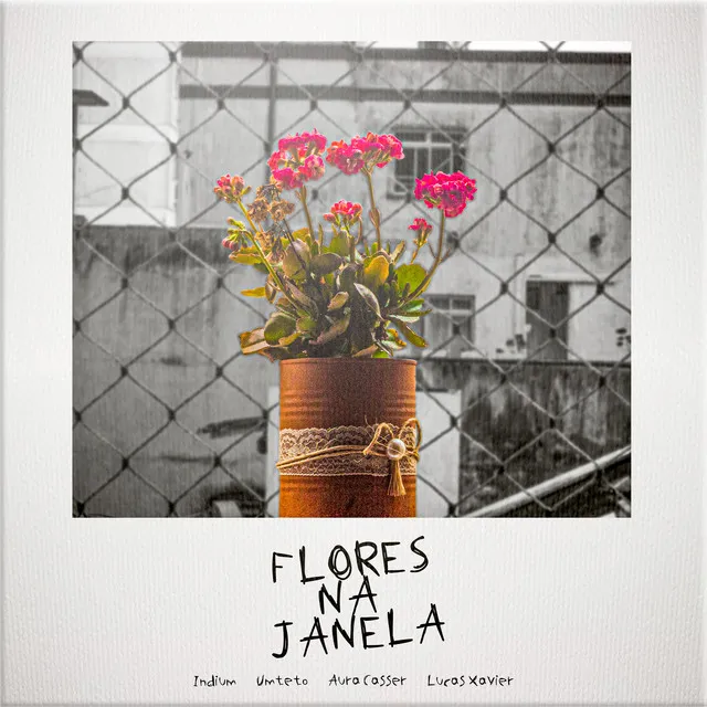 Flores na Janela