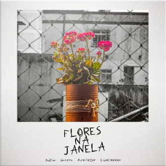 Flores na Janela by Indium