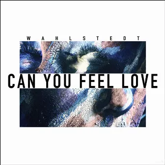 Can You Feel Love by Wahlstedt