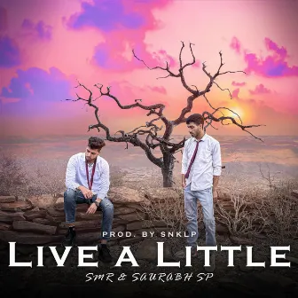 Live A Little by SMR