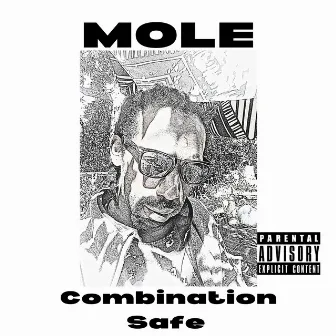 Combination Safe by MOLE