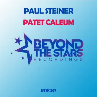 Patet Caleum by Paul Steiner