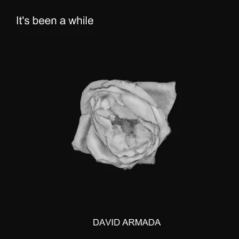 It's been a while by David Armada