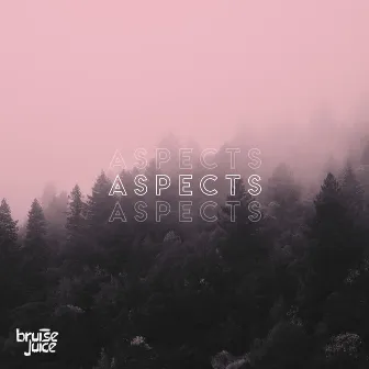 Aspects EP by Bruise Juice