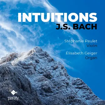 Intuitions by Elisabeth Geiger