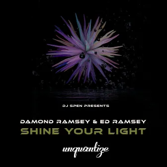 Shine Your Light (The Jovonn Radio Remix) by Damond Ramsey