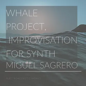 Electroacoustic Works: Whale Project & Improvisation for Synth by Miguel Sagrero