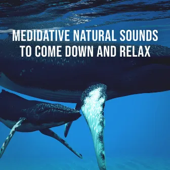 Hear the Amazing Sounds of Whales in Their Natural Environment: Medidative Natural Sounds to Come Down and Relax by Deep Ocean Relax