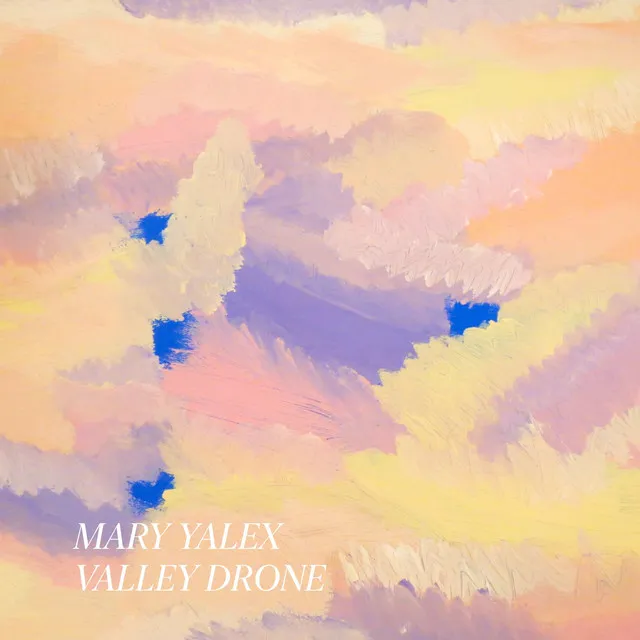 Valley Drone