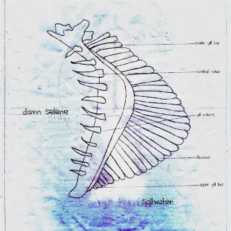 Saltwater by Damn Selene