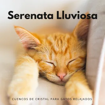 Serenata Lluviosa: Cuencos De Cristal Para Gatos Relajados by Música para descansar gatos