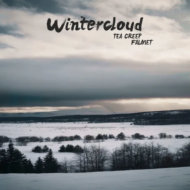 Wintercloud