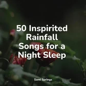 50 Inspirited Rainfall Songs for a Night Sleep by Rain Makers