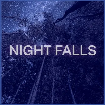 Night Falls by Abel Marvin