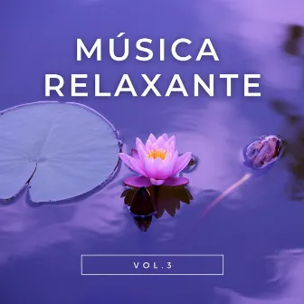 Música Relaxante Vol. 3 by Notas de Relaxamento