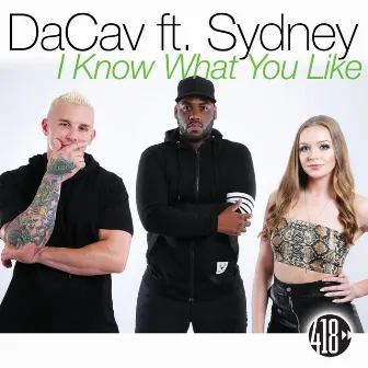 I Know What You Like (Remixes) by DACAV