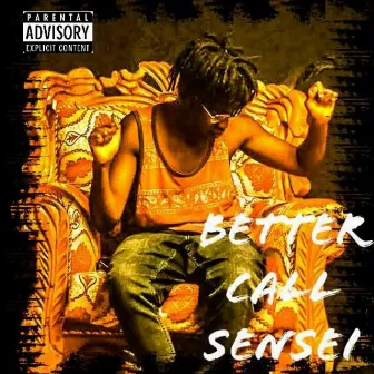 Better Call Sensei by Jerry Sensei