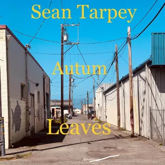 Autum Leaves by Sean Tarpey