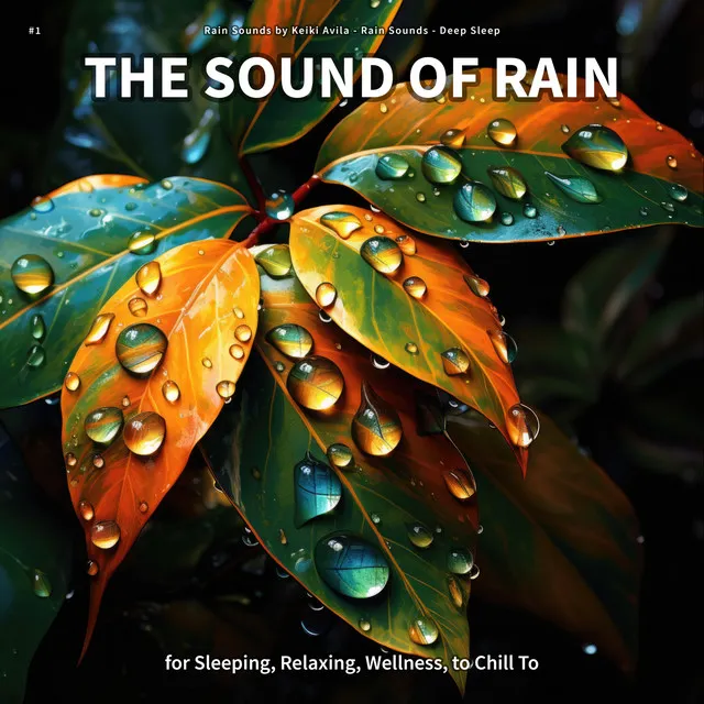 Fabulous Sounds of Rain